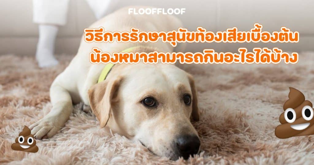 สุนัขท้องเสีย
