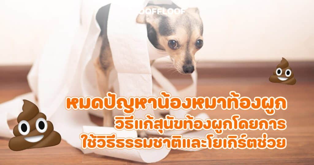 สุนัขท้องผูก